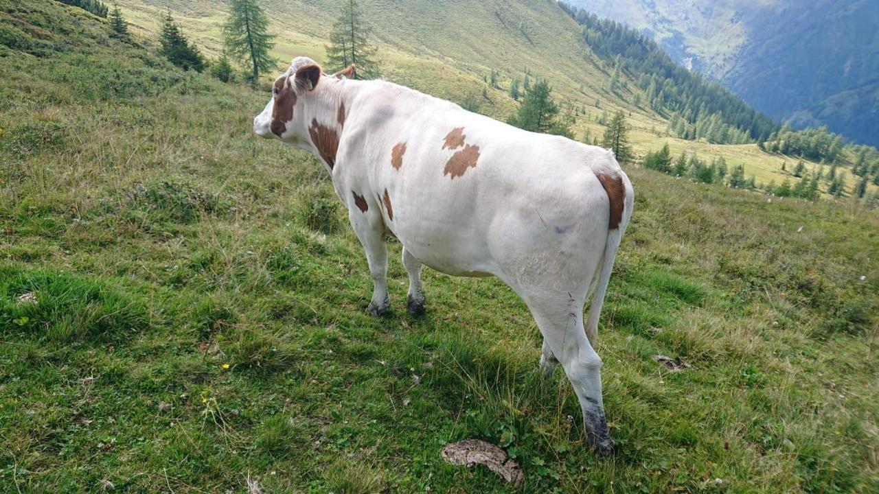Lindbichlhof Urlaub Am Bio Bauernhof Appartement Sankt Johann im Pongau Buitenkant foto