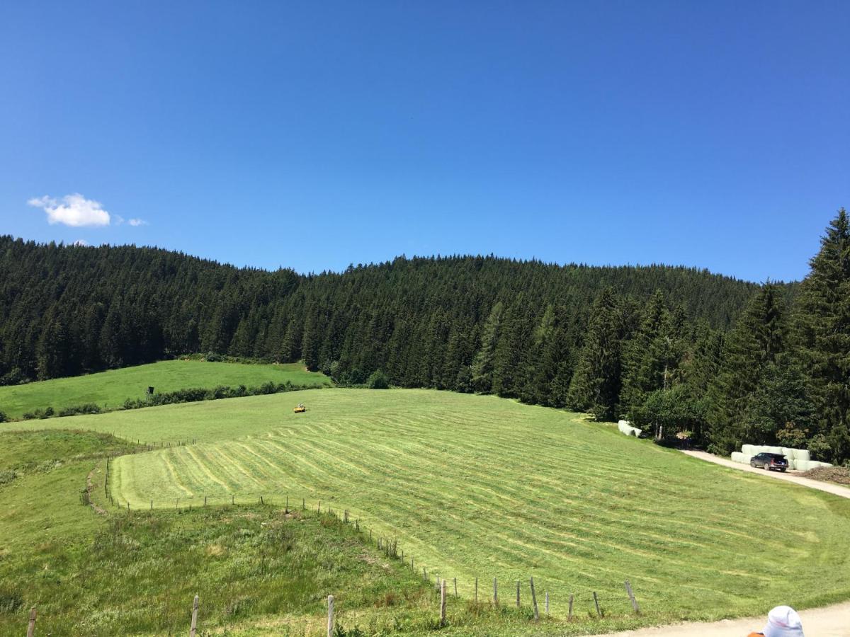 Lindbichlhof Urlaub Am Bio Bauernhof Appartement Sankt Johann im Pongau Buitenkant foto
