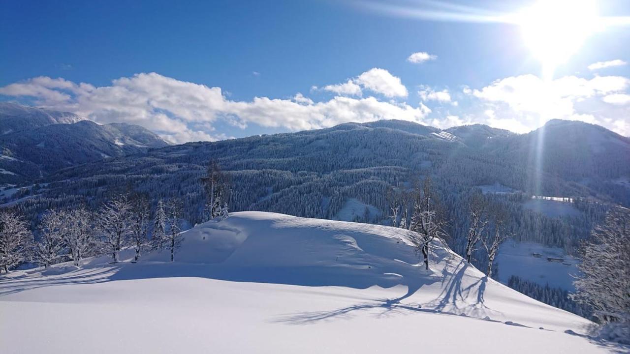 Lindbichlhof Urlaub Am Bio Bauernhof Appartement Sankt Johann im Pongau Buitenkant foto