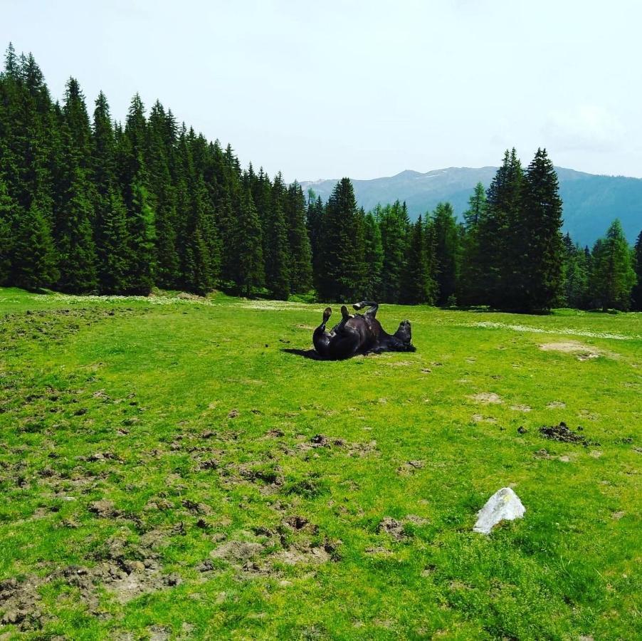 Lindbichlhof Urlaub Am Bio Bauernhof Appartement Sankt Johann im Pongau Buitenkant foto
