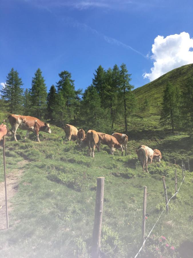 Lindbichlhof Urlaub Am Bio Bauernhof Appartement Sankt Johann im Pongau Buitenkant foto