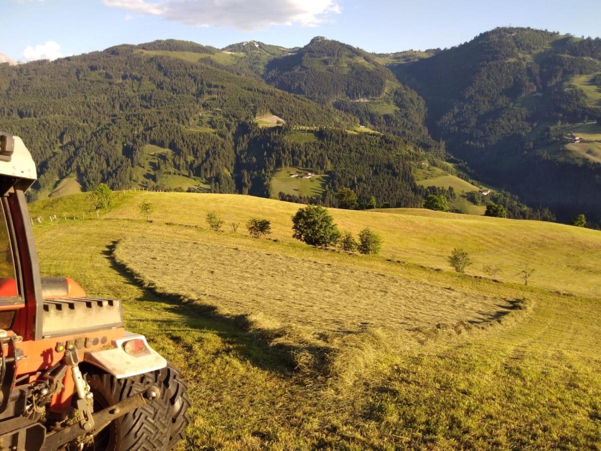 Lindbichlhof Urlaub Am Bio Bauernhof Appartement Sankt Johann im Pongau Buitenkant foto
