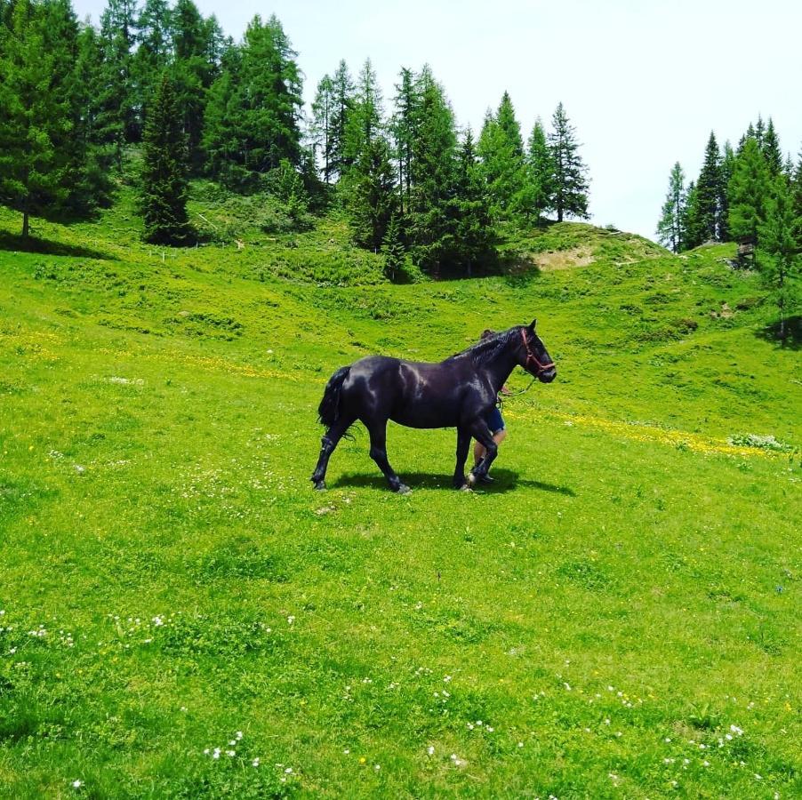 Lindbichlhof Urlaub Am Bio Bauernhof Appartement Sankt Johann im Pongau Buitenkant foto