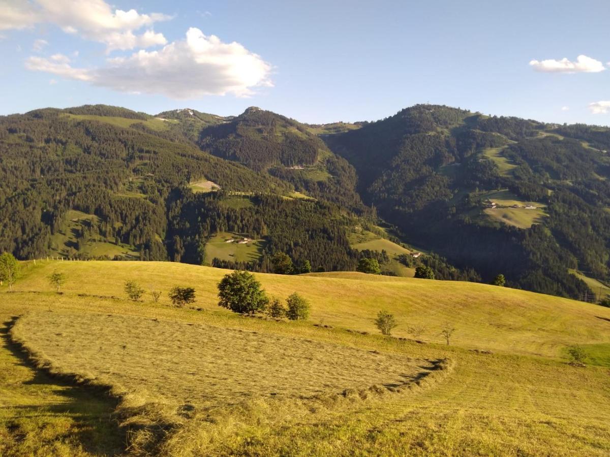 Lindbichlhof Urlaub Am Bio Bauernhof Appartement Sankt Johann im Pongau Buitenkant foto
