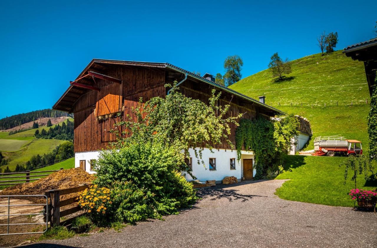 Lindbichlhof Urlaub Am Bio Bauernhof Appartement Sankt Johann im Pongau Buitenkant foto