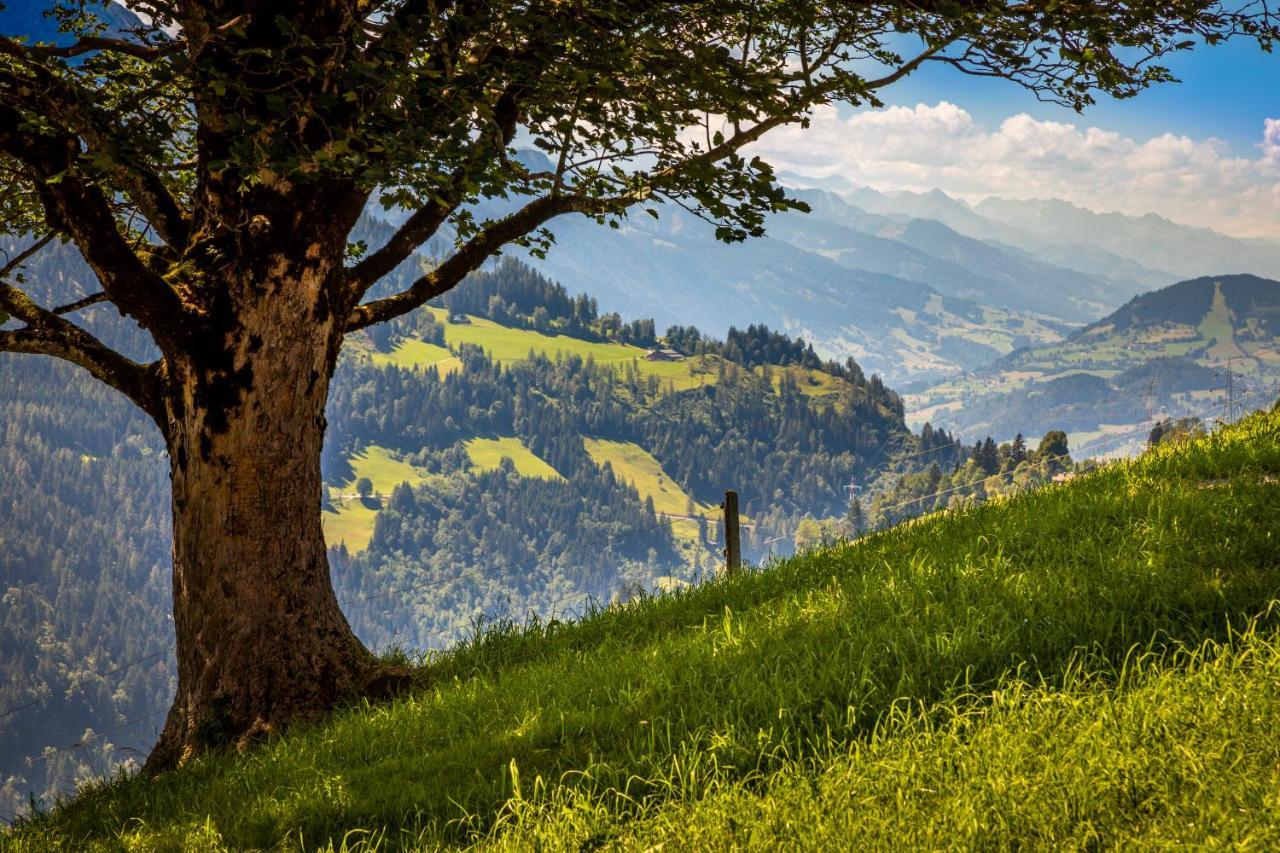 Lindbichlhof Urlaub Am Bio Bauernhof Appartement Sankt Johann im Pongau Buitenkant foto