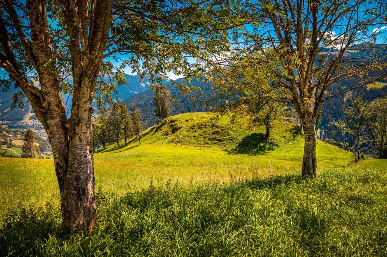 Lindbichlhof Urlaub Am Bio Bauernhof Appartement Sankt Johann im Pongau Buitenkant foto