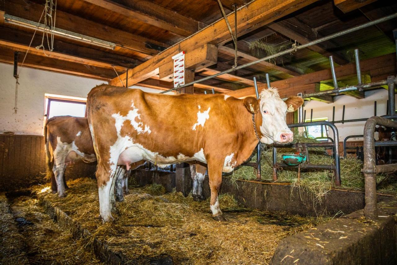 Lindbichlhof Urlaub Am Bio Bauernhof Appartement Sankt Johann im Pongau Buitenkant foto